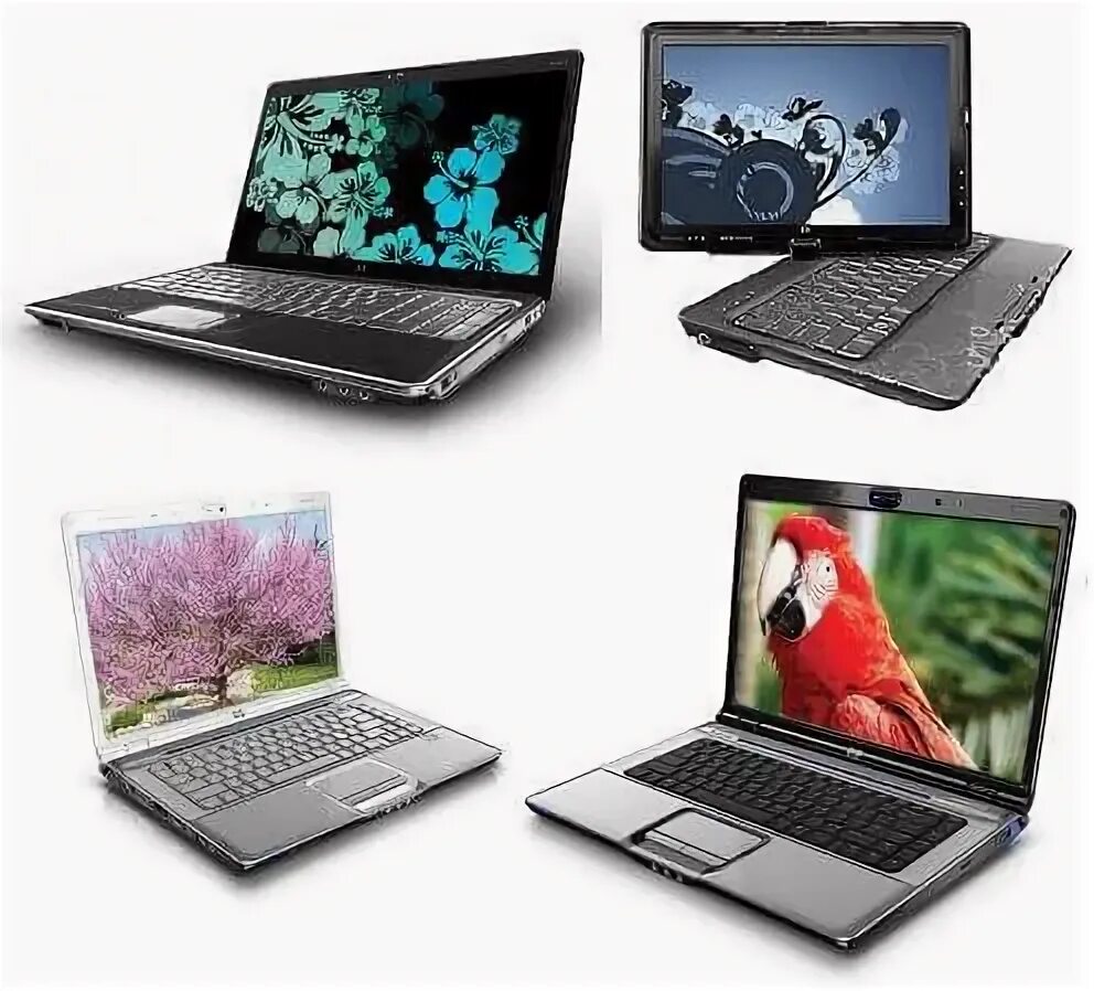 Import notebook. Импортные ноутбуки. импорт ноутбуков. название всех ноутбуков. notebook types.