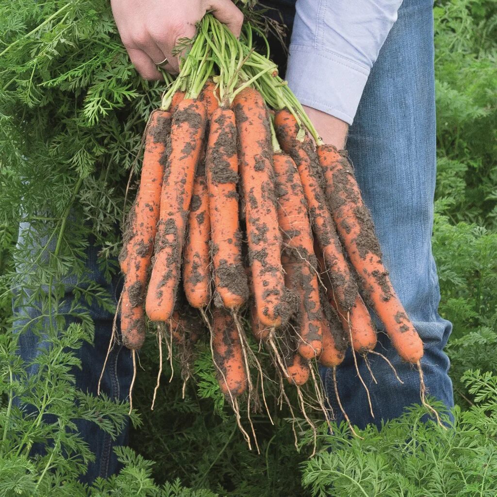 агроопт профессиональные