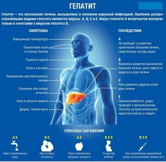 Гепатит человека