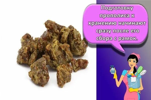 Хранение прополиса. Прополис. срок годности прополиса. прополис в твердом виде. прополис срок годности в твердом виде.