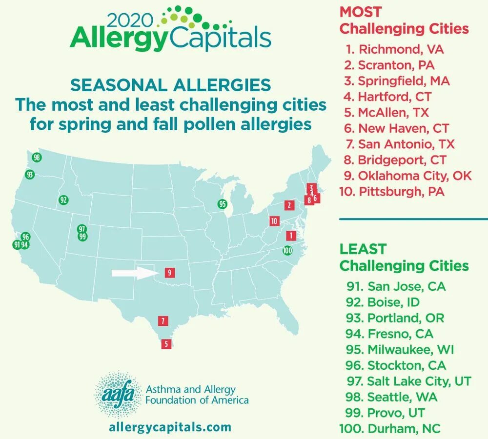 Allergy is. Text Allergy. Pollen Allergy what can stop it. Survey about Allergy.