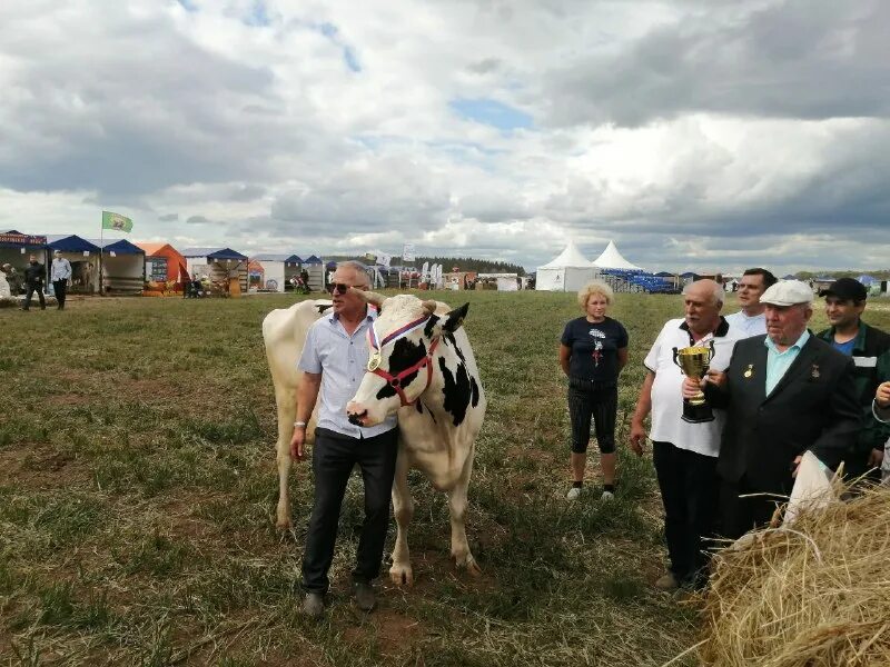 Уралплемцентр. Уралплемцентр екатеринбург адрес. Эвика агро. Уралплемцентр фото быков. Сельское хозяйство пермского края.