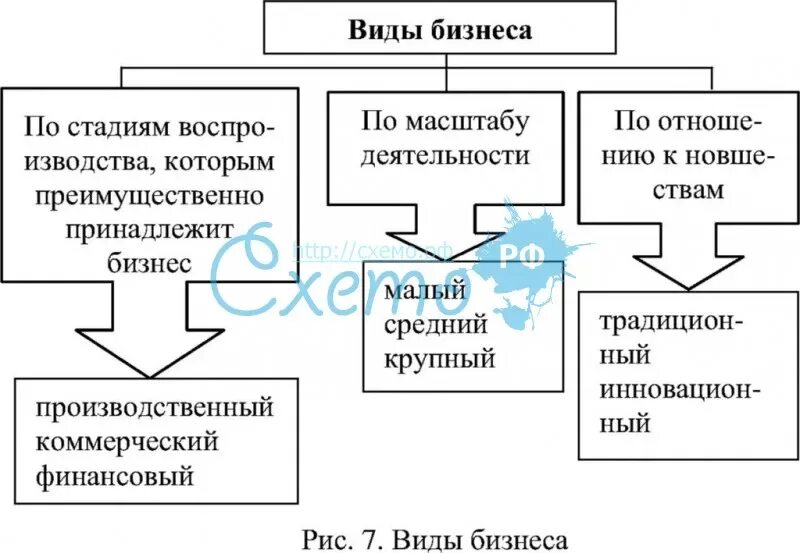 Формы и типы бизнеса. Виды и формы бизнеса схема. Виды бизнеса Обществознание. Виды бизнеса таблица. Виды бизнеса таблица Обществознание.