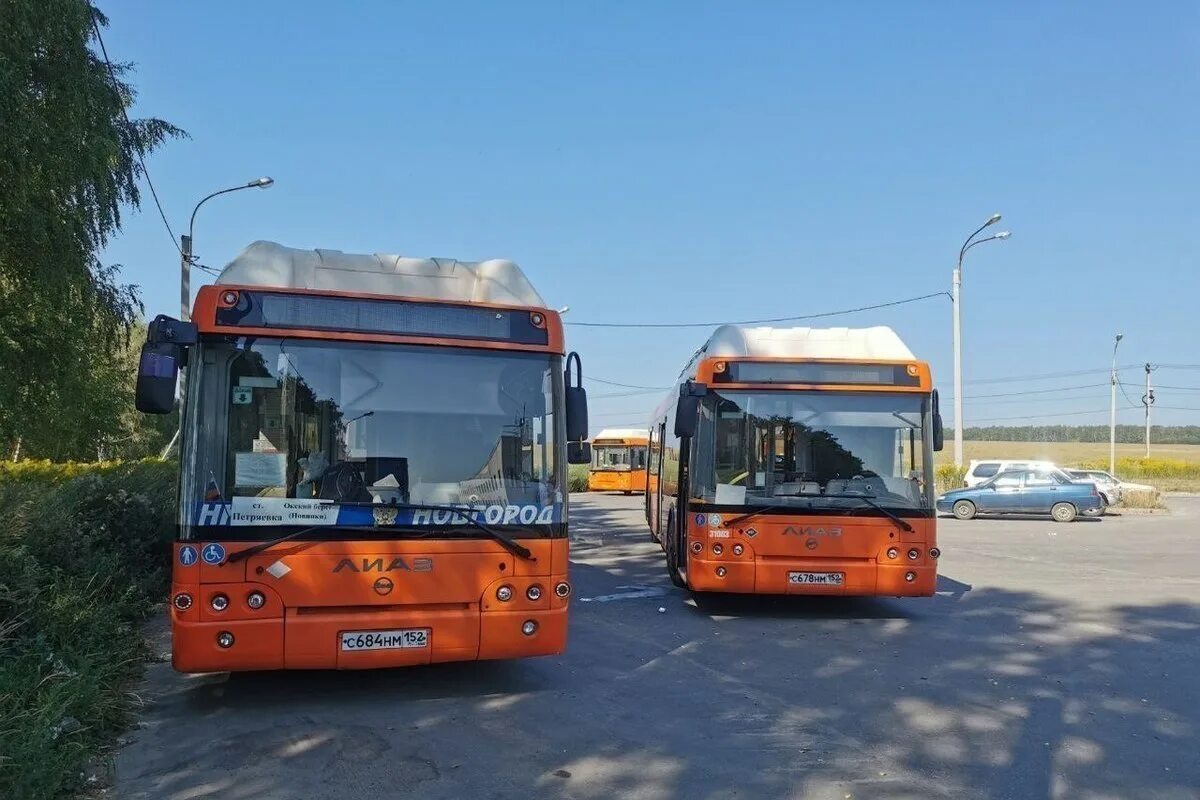 Нижний новгород автобусные туры 2023. Нижегородский автобус. Новые автобусы. Новые автобусы в Нижнем Новгороде. Общественный транспорт Нижний Новгород.