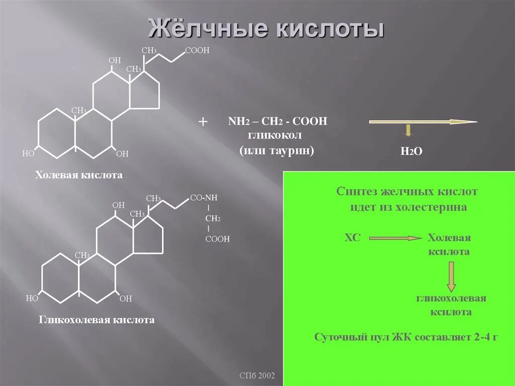 Холевая кислота и таурин реакция. Синтез желчных кислот. Конъюгирование желчных кислот. Синтез желчных кислот биохимия. Желчные кислоты печени