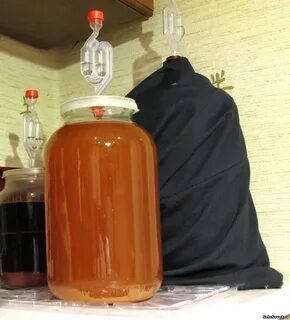 Сколько бродит яблочный сок