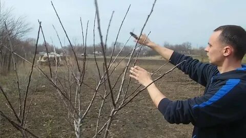Сформировать видео