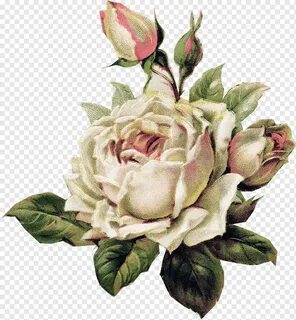 Роза Рукав тату цветок, акварель роза, синий, аранжировка цветов, фиолетовы...