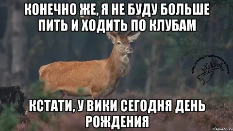 Я больше не буду 18