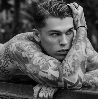 Steve model