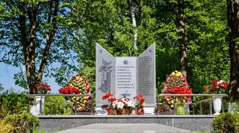 Сколько лет городу домодедово в 2024