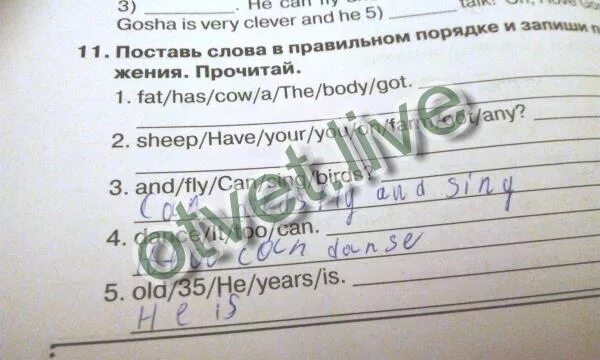 Прочитай предложения выбрав правильную форму have. Поставь слова в правильном порядке и запиши. поставь слова в правильном порядке и запиши предложения. поставь слова в правильном порядке и запиши предложения прочитай. запиши слова в правильном порядке и прочитай предложения.