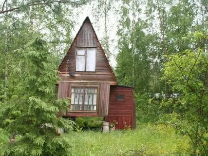 Пупышево ленинградская дачи