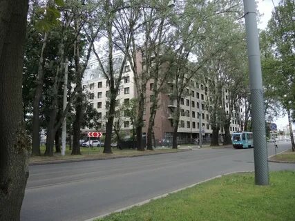 Савушкина 104