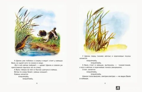 Рассказ бианки 1 охота