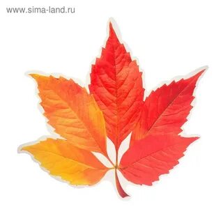 Осенние листья исполнители