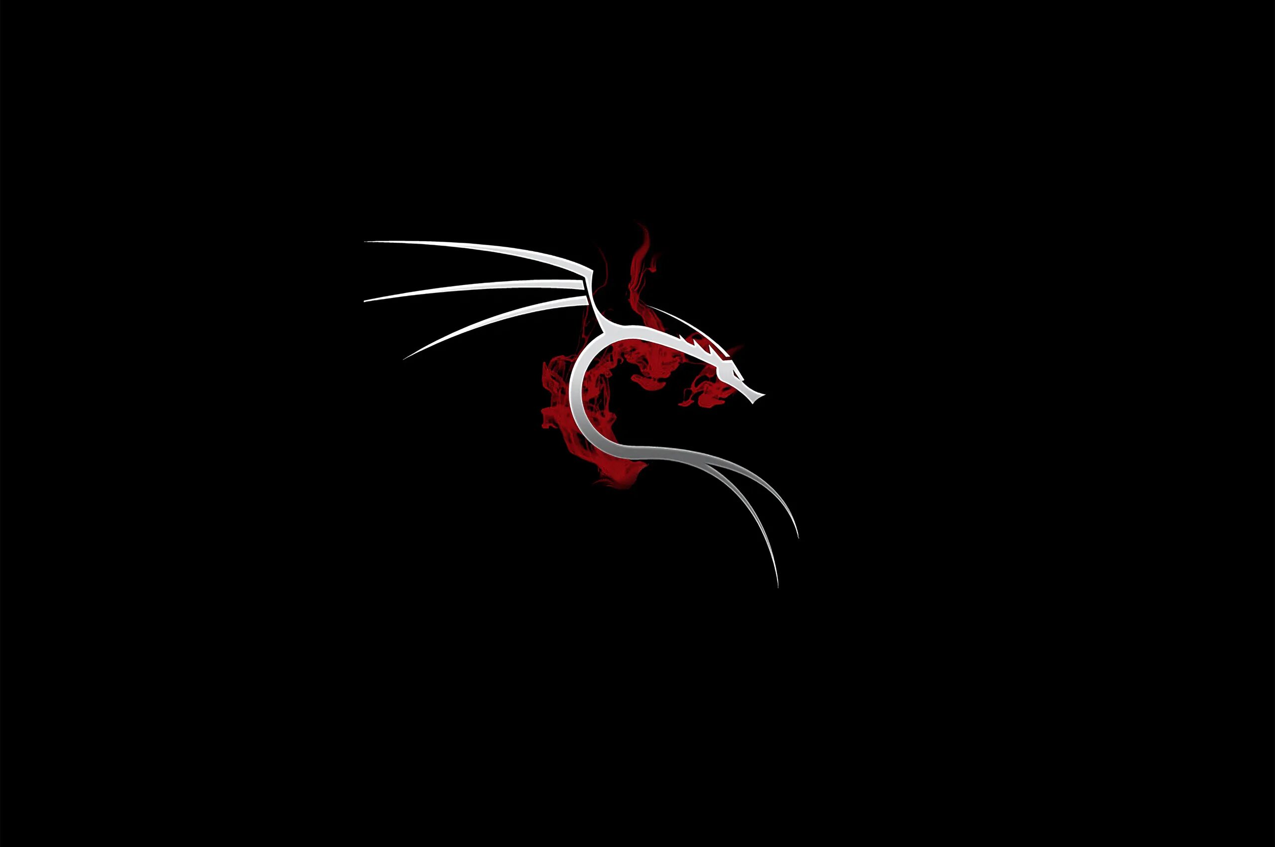 Кали нет хантер. Кали линукс. логотип кали линукс. дракон кали линукс. kali nethunter.