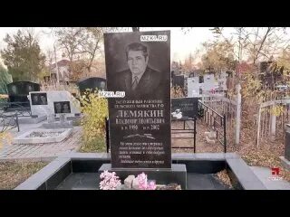 В Волгоградской области банда с битами и пистолетом похищала овечек - YouTube