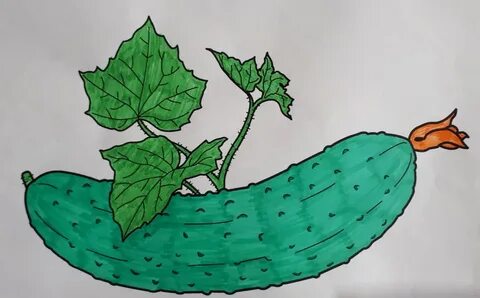 Нарисовать огурец карандашом для детей