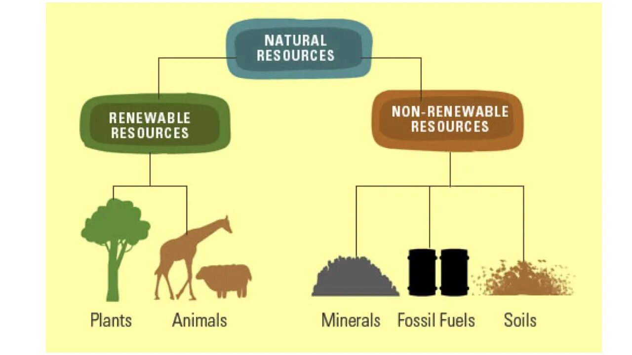 Types of natural resources. Renewable natural resources. Природные ресурсы вектор. Natural resources are. Different resources