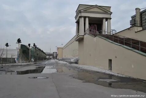 Стадион юных пионеров москва