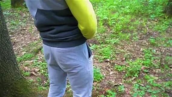 Девушки в кустиках писать