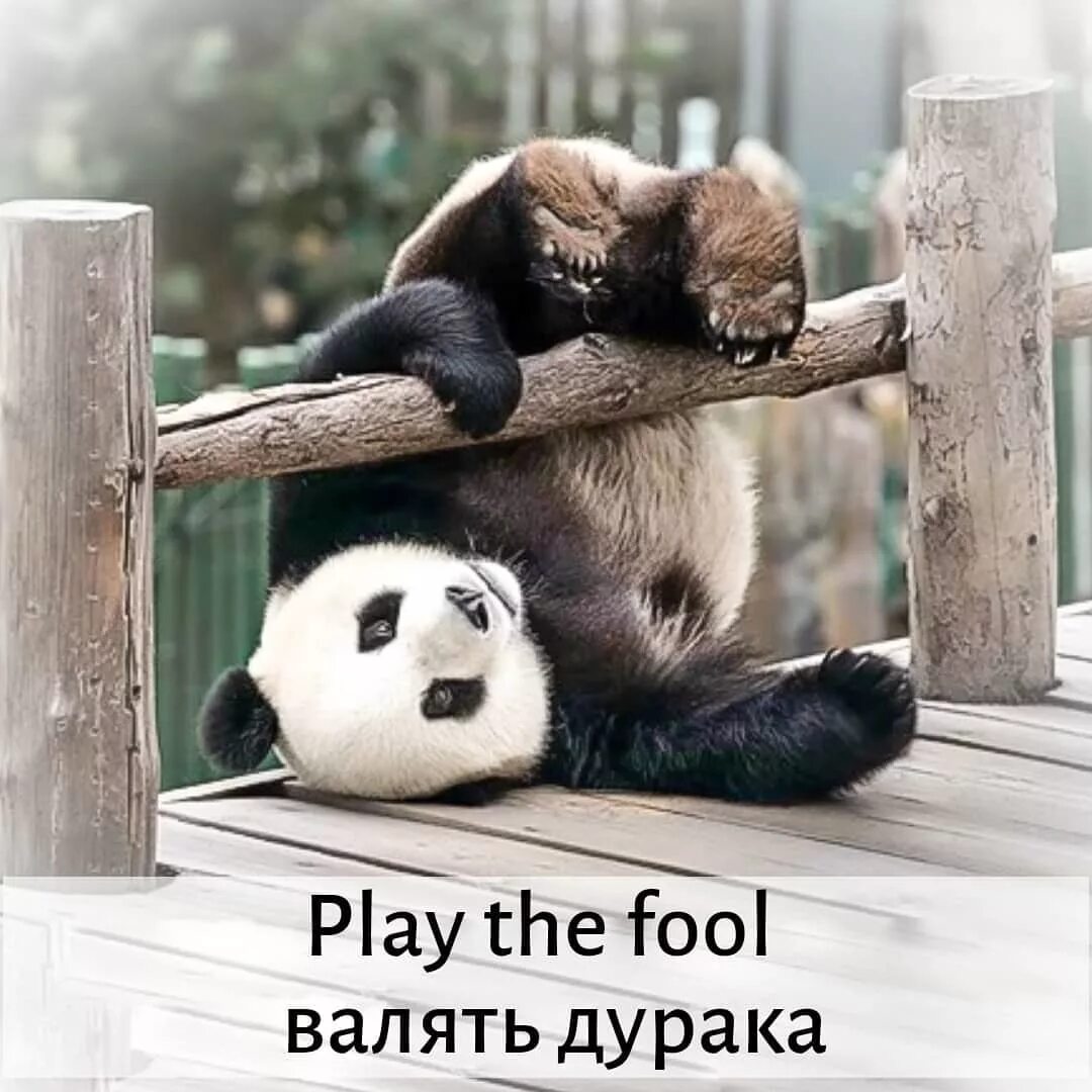 Что делать в субботу днем