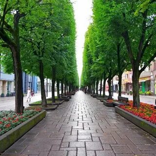 Улица с аллеями посередине 9 букв