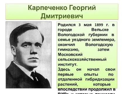 Карпеченко вклад в селекцию
