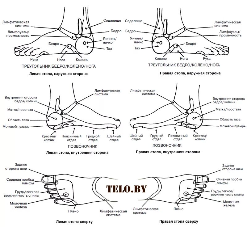 Болит внешняя сторона пятки. Массаж ступней ног схема. Акупунктура тела человека схема болевые точки. Схема внутренних органов на стопе. Болевые точке на ступне за что отвечают.