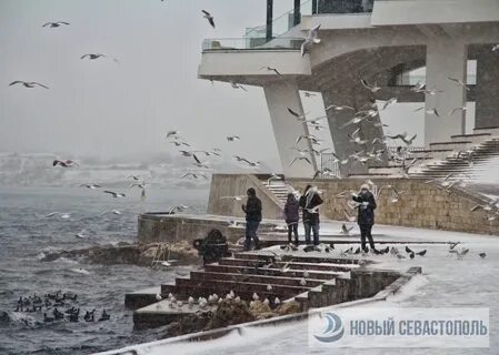 Ветер в севастополе завтра
