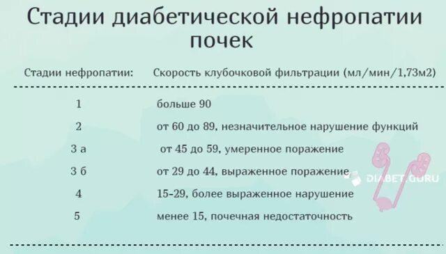 Диабетическая нефропатия при сахарном диабете 2 типа. Нефропатия стадии классификация. диабетическая нефропатия классификация воз. диабетическая нефропатия классификация хбп. диабетическая нефропатия по скф.