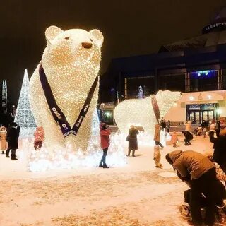 Инсталляция медведи в москве