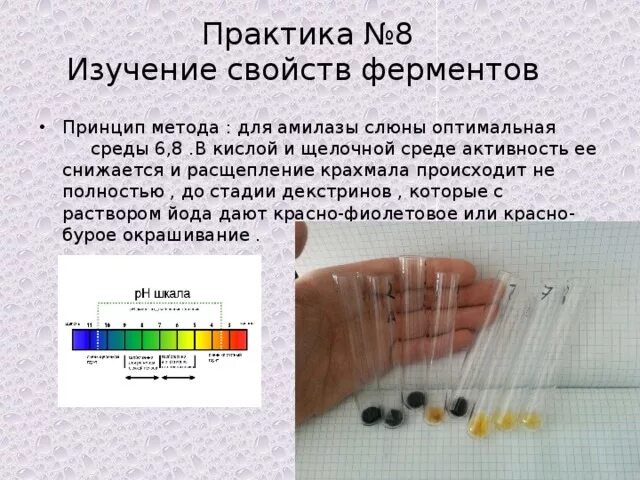 Практическая работа изучение при разных условиях. Активность амилазы слюны. Определение PH слюны. Амилаза слюны PH. Влияние РН на активность амилазы слюны.