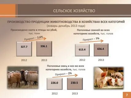 Объем производства животноводства
