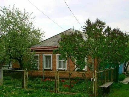 Авито губкин бесплатное