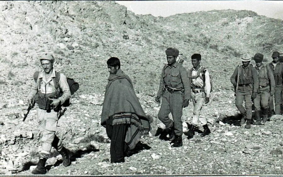 бой у кишлака шаеста 3 августа 1980 года. ущелье шаеста афганистан.