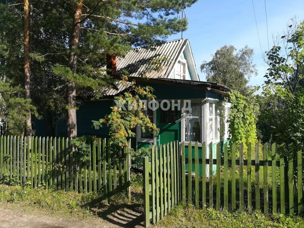 Дача строитель новосибирск. Садоводческое некоммерческое товарищество дубрава. снт дубрава вологда. снт дубрава новосибирск. снт новосибирский район барышево.