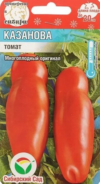 Сорт томатов казанова. Томат сорт жигало и казанова. семена томат казанова. томат казанова 20шт. сорт помидор казанова.
