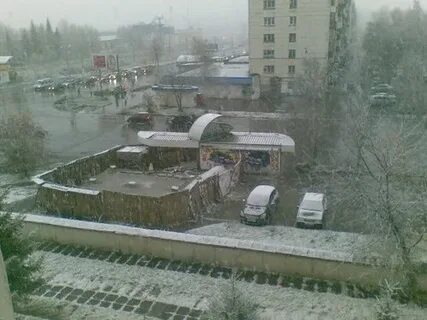 Метеонова златоуст