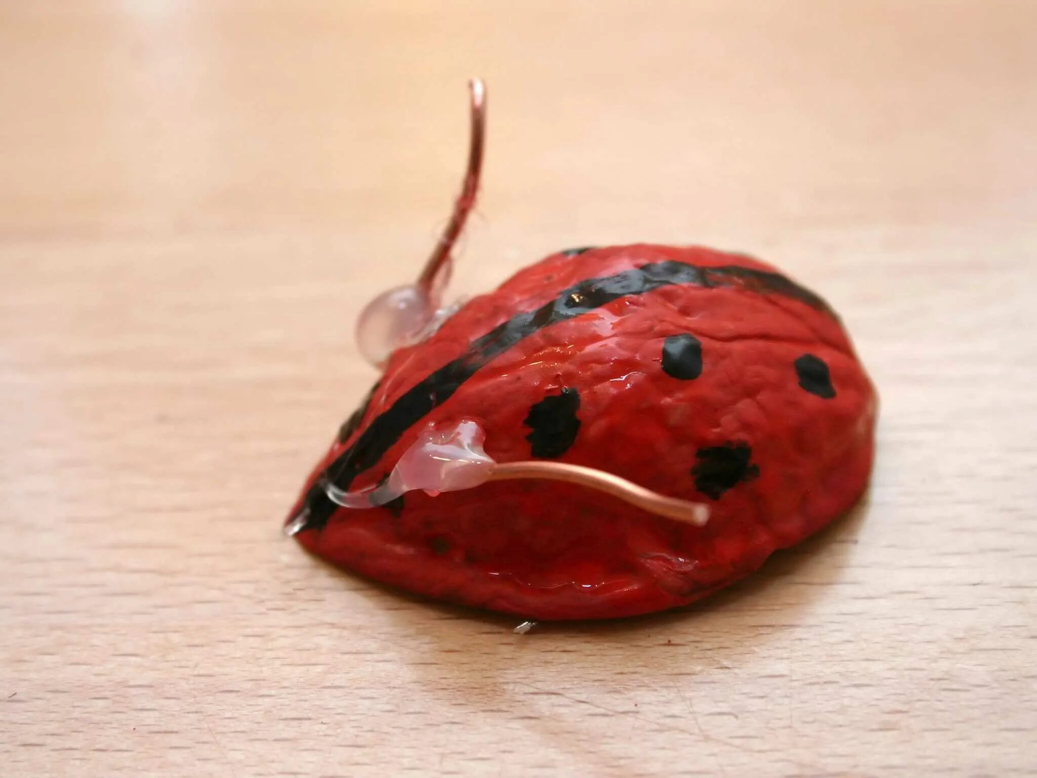 Поделки из скорлупы. Божьи коровки из грецких скорлупок. божья коровка из грецкого ореха и пластилина. божья коровка из скорлупы грецкого ореха. поделка божья коровка из скорлупы грецкого ореха.