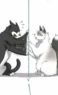 Кошки манхва
