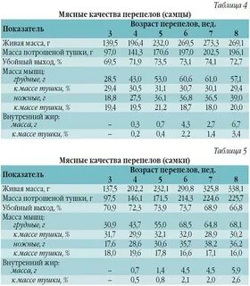 Таблица птицы мяса