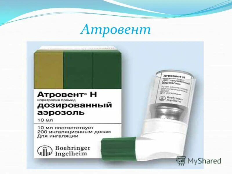 Беродуал при бронхите цена. Сальбутамол, Атровент Беротек аэрозоль. Беродуал (Атровент + Беротек). Беродуал аэрозоль для ингаляций.