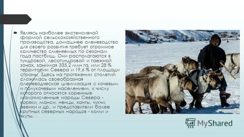 Хозяйственная деятельность человека в тундре. Рыболовство природная зона. Рыболовство природная зона. Охрана рыбных запасов. Хозяйственная деятельность человека в тундре.