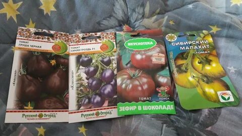 Сорт томатов зефир в шоколаде отзывы