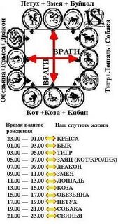 Совместимость змеи по гороскопу