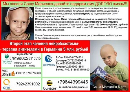 Спасите сашу