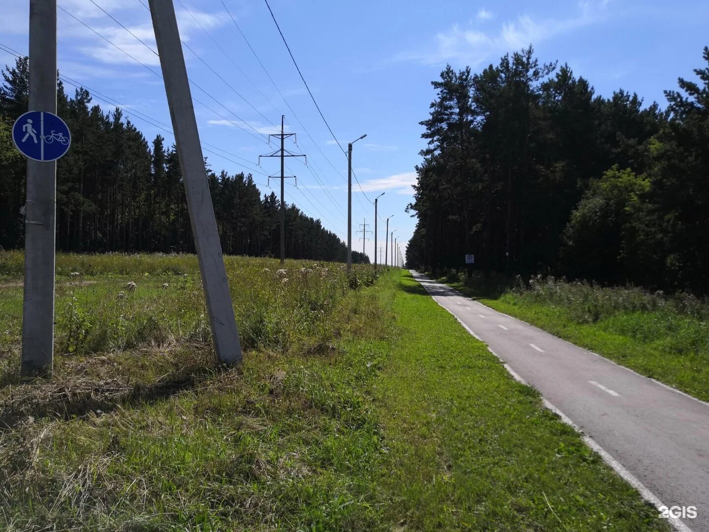 Кемерово район лесная поляна. Лесная поляна кемерово. Лесная поляна поселок кемерово. Лесная поляна кемерово кемерово. Ленинск-кузнецкий центр охраны здоровья шахтеров.