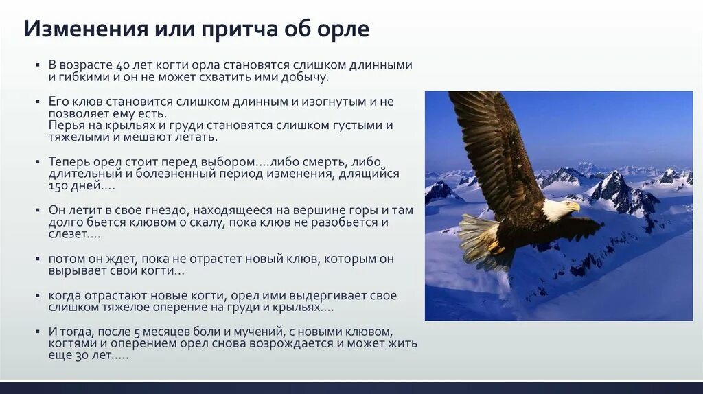 Стихотворение про орлов. Притча про орла. Притча про орла в 40 лет. Притча про Орлов. Притча об Орле в возрасте 40 лет.